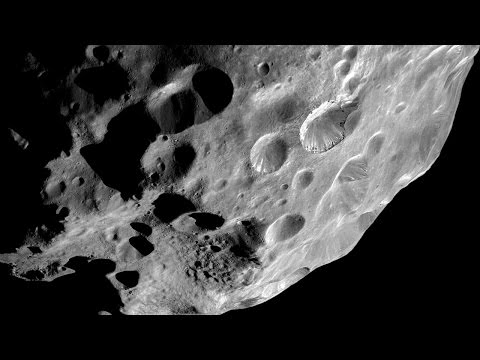 Rhino! - black astroid