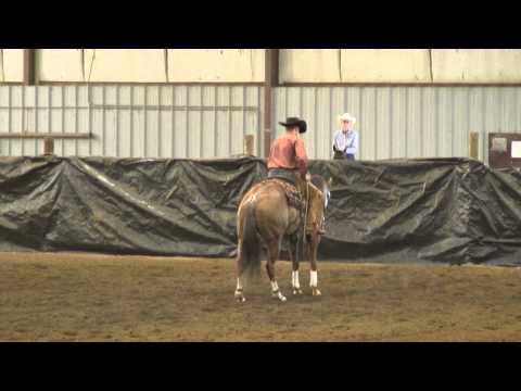 Anna Sparkle Dou shown by Cayley Wilson