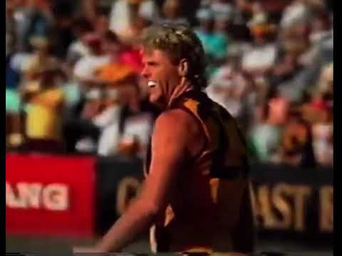 Hawthorn Hawks vs Brisbane Bears - Rd 17 1990 Highlights