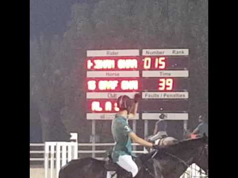 عرض تدريبي للفارس هشام غريب على الحصان Graf Gandor. دبي 17-4-2017