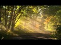The New Pornographers - Electric Child Of Witchcraft Rising [HD]