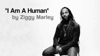 "I Am A Human" by Ziggy Marley (2017)