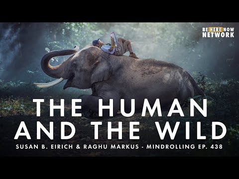The Human and The Wild with Susan B. Eirich and Raghu Markus – Mindrolling Podcast Ep. 438