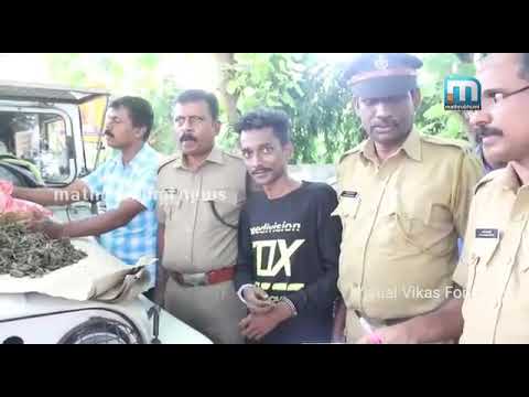 Kerala Excise Dept Caught Drugs seller