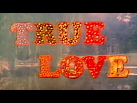 True Love (tradução) - George Harrison ♫ Letras de Músicas