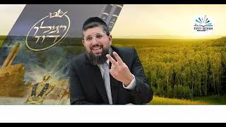 12 צינורות השפע | זרע שמשון | פרשת בהעלותך תשפ"ה | הרב אליהו עמר (הרב אליהו עמר) - התמונה מוצגת ישירות מתוך אתר האינטרנט יוטיוב. זכויות היוצרים בתמונה שייכות ליוצרה. קישור קרדיט למקור התוכן נמצא בתוך דף הסרטון