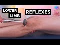 Reflexes of the Lower Limbs | OSCE Clip | UKMLA | CPSA