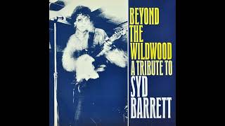 TROPICANA FISHTANK – No Man&#39;s Land – Beyond The Wildwood. A Tribute To SYD BARRET – 1987 – Vinyl