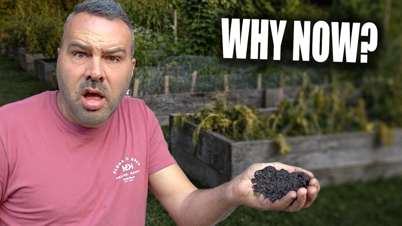 Why Your Raised Bed Soil Stops Working After 3 Years