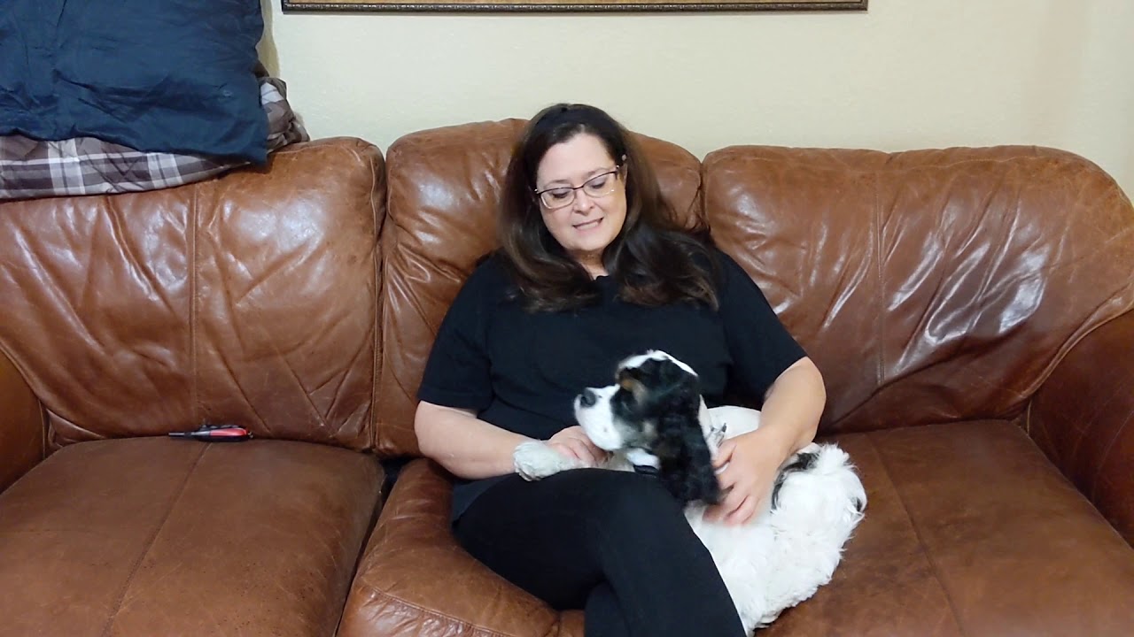 Tip Top K9 Reviews | Tulsa Dog Board and Train | Tip Top K9 | Loretta