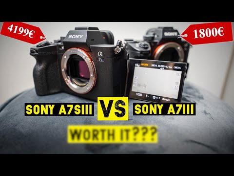 Sony a7sIII vs a7III Side by Side Comparison