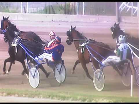 Trotto 13/06/2020 - 8ª corsa