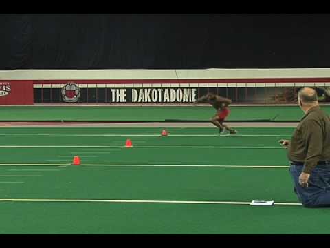 Dominic artis   USD Proday 2010