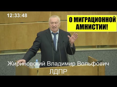 В.В.  Жириновский и Председатель Госдумы РФ В.В. Володин о МИГРАЦИОННОЙ АМНИСТИИ В РОССИИ