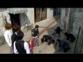 Boys Over Flowers Geum Jan Di F4 Episode 13 꽃보다 남자