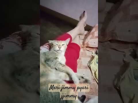 #hiphop #music #catcomedy