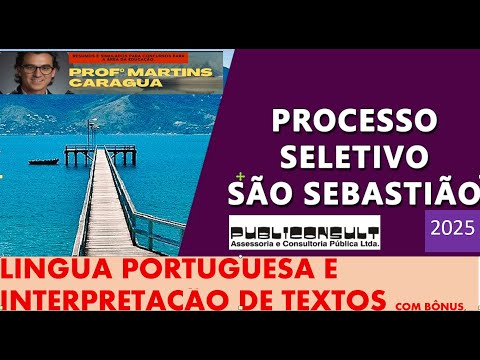 O QUE MAIS CAI DE PORTUGUÊS DA BANCA PUBLICONSULT
