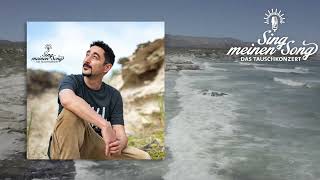Die Beste Aller Zeiten (aus "Sing Meinen Song, Vol. 11") Lyrics English Translation