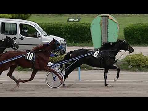 Aversa trotto 14 Ottobre 2020 - 6° Corsa