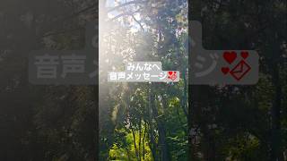 母鳥が子供にエサの取り方教えてた！皆さんに音声メッセージ💌 #鳥 #ビデオレター #自然音 #asmr