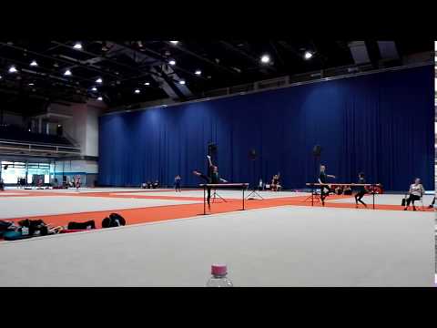 Rhythmic Gymnastics Training - European Championships Budapest 2017