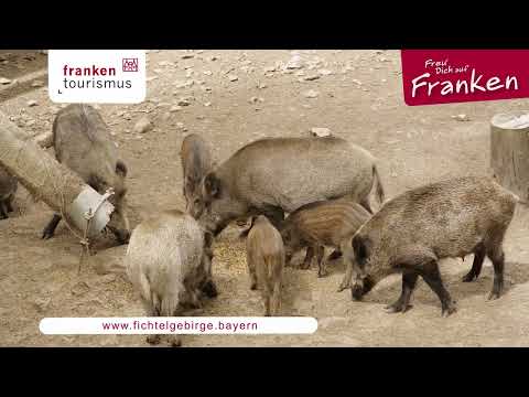 Imagefilm Hausbesuch 2022 Fichtelgebirge