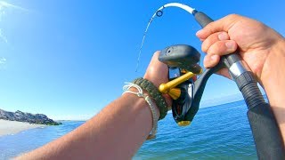 Successful Early Morning Blue Fish Surf Casting Trip ** 24 pounds ** ( Long Island South Shore )