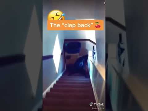 How different dogs go down the stairs😂#shorts