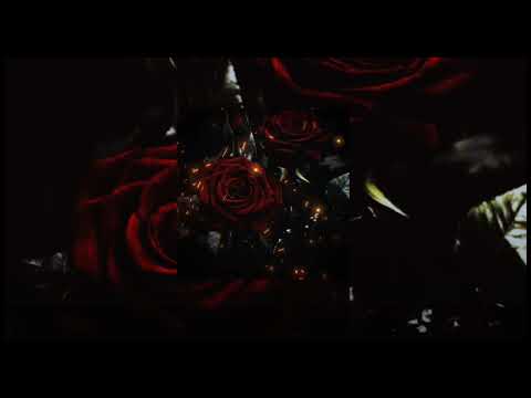 Pnl j'comprends pas ( Tiktok Version Part 2) #music #pnlmusic  #tiktok