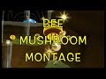 Funny Mario Montages Bee Mushroom Montage