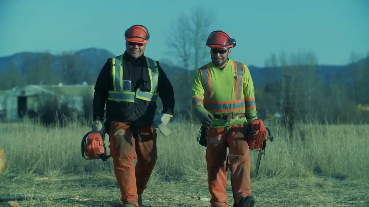 Sustainable Indigenous forestry