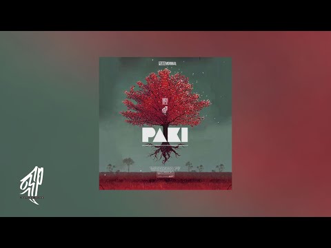 Savage Plug - PAKI [Prod. ALI PROD]