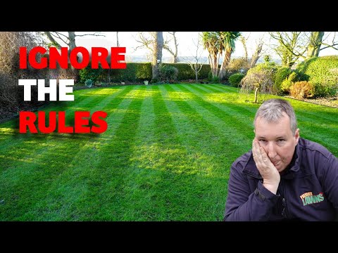 These Winter Tricks Will Feel Like Cheating in the Spring