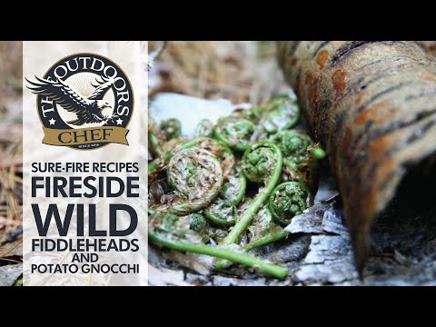 download lagu mp3 mp4 Fiddlehead Pasta Primavera, download lagu Fiddlehead Pasta Primavera gratis, unduh video klip Fiddlehead Pasta Primavera