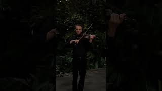 Vasilii Violin