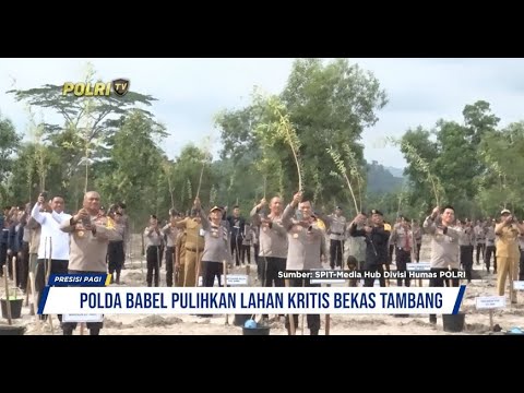 PEMULIHAN LAHAN KRITIS BEKAS TAMBANG