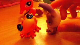 &quot;The Big House&quot; Fan Video