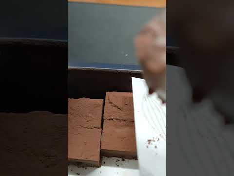 Daily Munch Episode 869 | Anindya Miskovic