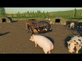 We find the thief and buying new animals | Back in my day 22 | Farming simulator 19