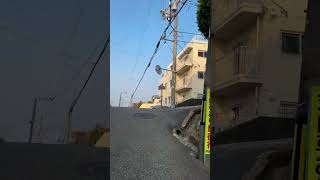 ライブ ハイライト