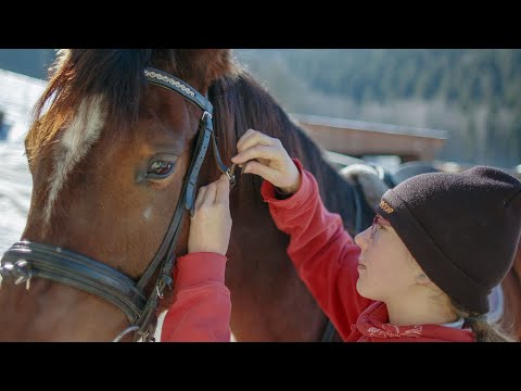 Pferde im Schnee! Traumhafte Winterlandschaft rund um den Rosihof.