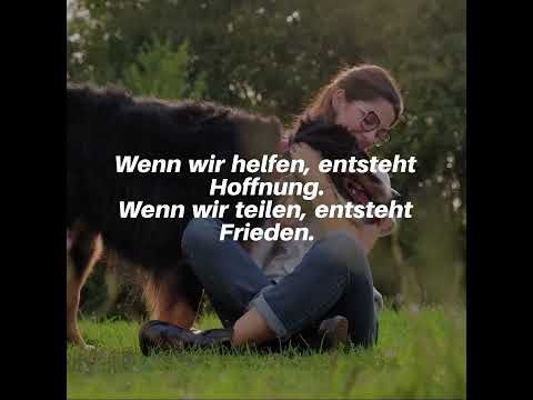 YouTube Short ansehen