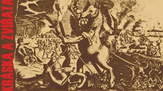 Video Kráska a zvířata