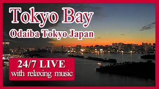 [東京湾ライブカメラ] LIVE Tokyo Bay, Traffic between ships and planes - Sea and Sky / japan travel / Live cam live webcam