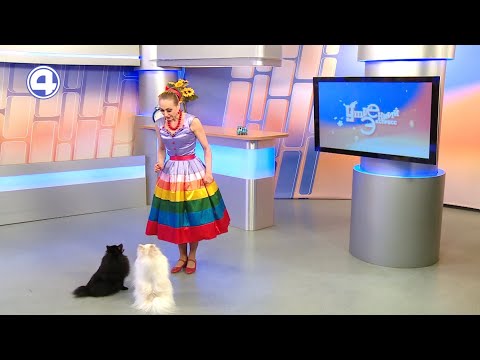 Цирковая программа «Калейдоскоп фантазий» в Екатеринбурге