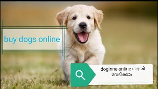 How to buy dogs online(malayalam)⚡️⚡️