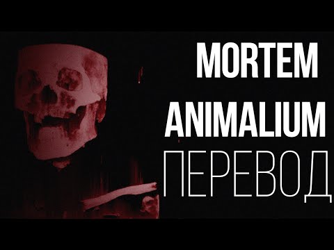 HXNJV - MORTEM ANIMALIUM w/ UNDXRTVKER + GHOSTOFBLU [PROD. REAVER]/ПЕРЕВОД/WITH RUSSIAN SUB