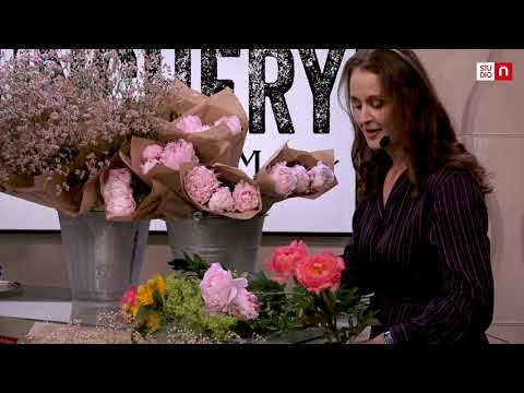 Bunchery hos Studio Nordstan