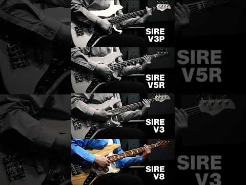 Sire Marcus Miller V3P vs V5R vs V3 vs V8 | Marchus Miller - Detroit