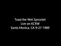 Toad the Wet Sprocket - High on a Riverbed live from Santa Monica, CA 9-27-1989